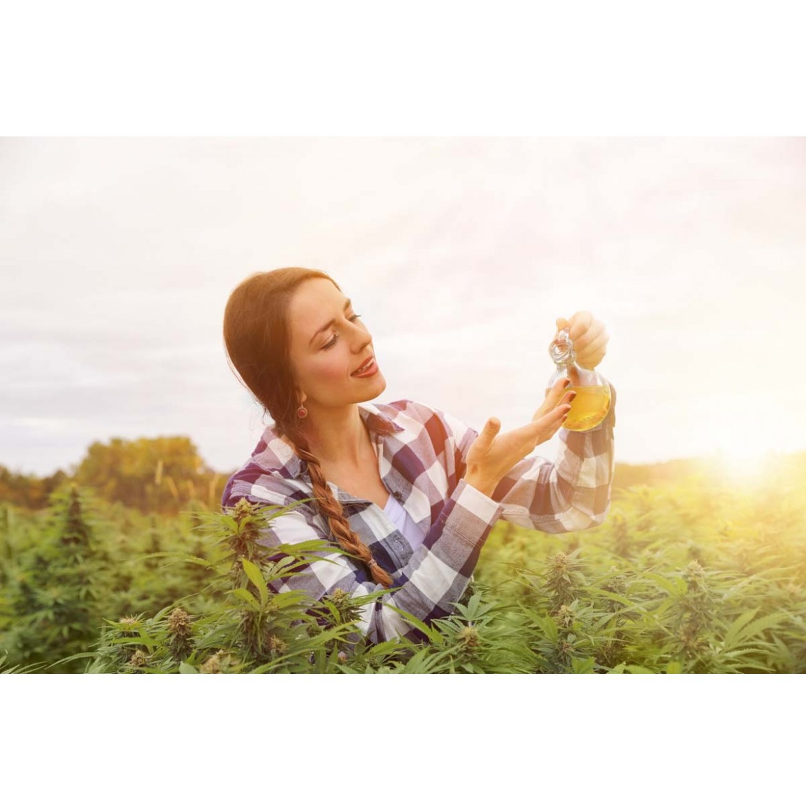 "Cada planta es recolectada cuando la naturaleza lo marca"
